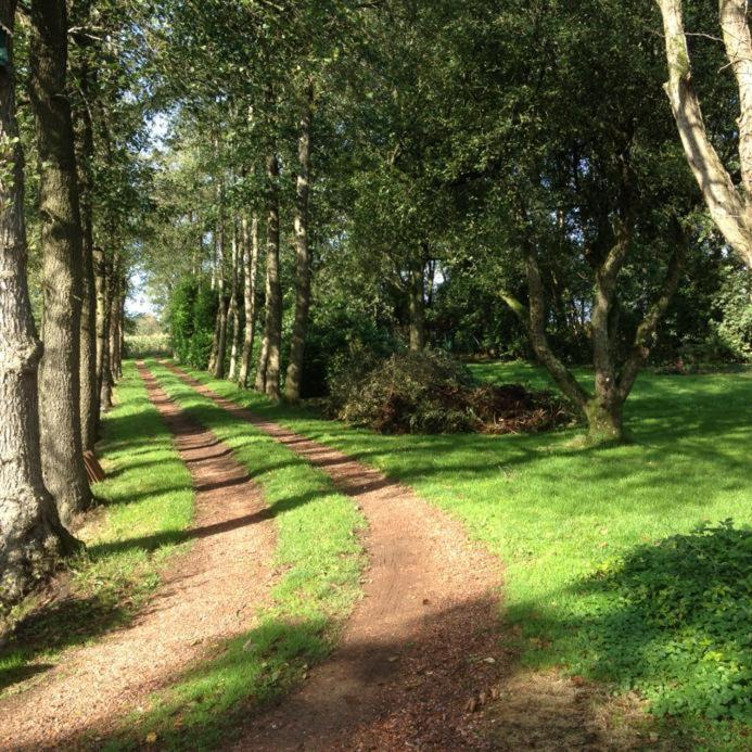 B&B De Mersken Ureterp Buitenkant foto